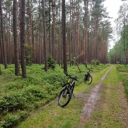 Ferienhaus Woodorf Drewnem Uslane - Z Bala Nad Rzeka Slupia Wsrod Pol I Lasow Z Grillowa, Ogniskiem I Placami Zabaw Dla Dzieci -royal Red House Z Jacuzzi I Ogrodzonym Extra Ogrodkiem Dla Pieskow, Royal House - Bez Jacuzzi *