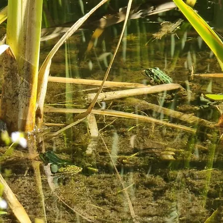 Woodorf Drewnem Usłane - Z Bala Nad Rzeką Słupią Wśród Pól I Lasów Z Chatą Grillową, Ogniskiem I Placami Zabaw Dla Dzieci -royal Red House Z Jacuzzi I Ogrodzonym Extra Ogródkiem Dla Piesków, Royal House - Bez Jacuzzi * Ustka