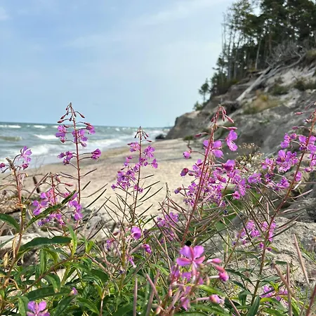 Woodorf Drewnem Usłane - Z Bala Nad Rzeką Słupią Wśród Pól I Lasów Z Chatą Grillową, Ogniskiem I Placami Zabaw Dla Dzieci -royal Red House Z Jacuzzi I Ogrodzonym Extra Ogródkiem Dla Piesków, Royal House - Bez Jacuzzi Сasa de vacaciones *