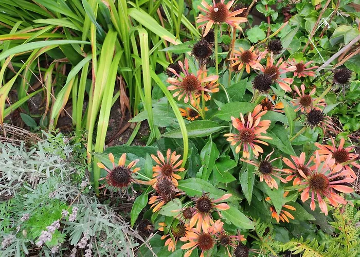 Woodorf Drewnem Uslane - Z Bala Nad Rzeka Slupia Wsrod Pol I Lasow Z Grillowa, Ogniskiem I Placami Zabaw Dla Dzieci -royal Red House Z Jacuzzi I Ogrodzonym Extra Ogrodkiem Dla Pieskow, Royal House - Bez Jacuzzi أوستكا