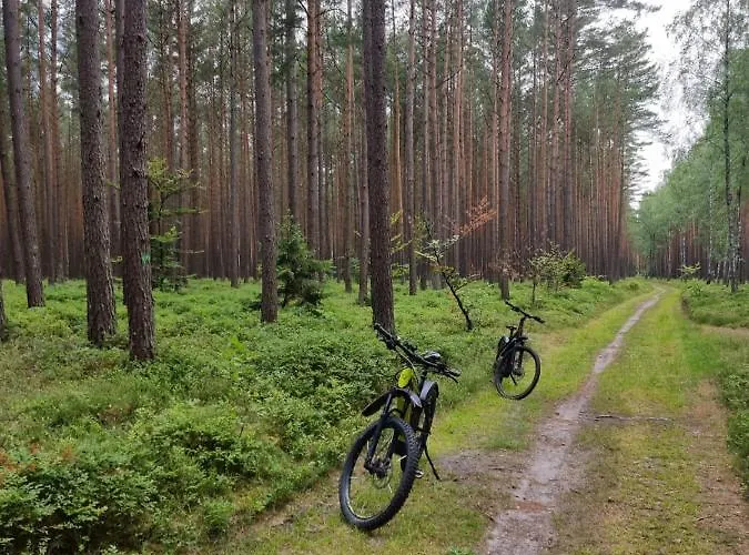 Dom wakacyjny Woodorf Drewnem Usłane - Z Bala Nad Rzeką Słupią Wśród Pól I Lasów Z Chatą Grillową, Ogniskiem I Placami Zabaw Dla Dzieci -royal Red House Z Jacuzzi I Ogrodzonym Extra Ogródkiem Dla Piesków, Royal House - Bez Jacuzzi *