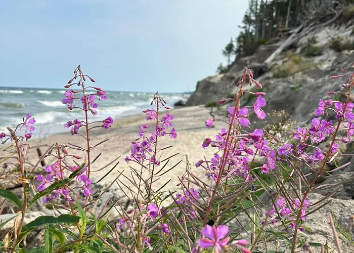 Woodorf Drewnem Uslane - Z Bala Nad Rzeka Slupia Wsrod Pol I Lasow Z Grillowa, Ogniskiem I Placami Zabaw Dla Dzieci -royal Red House Z Jacuzzi I Ogrodzonym Extra Ogrodkiem Dla Pieskow, Royal House - Bez Jacuzzi بيت للعطل *